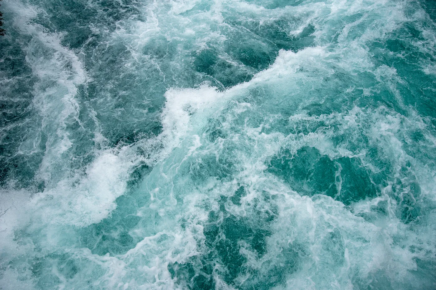 Navigating Neural Waves in the Cerebrum
